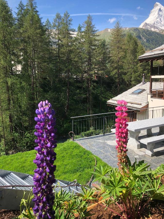 Apartment Haus Alsuki Bellevue *